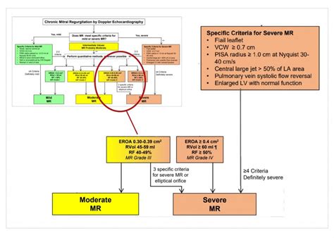 lv grade and mr|grading mr severity with echo.